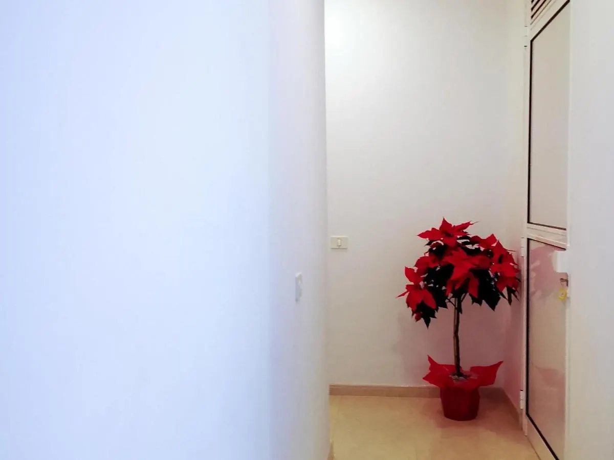 דירה פלאייה דה סאן חואן Puesta De Sol Rentals 3Dr ספרד